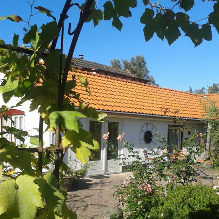 De Vrijheid-Melkstal Apartment De Cocksdorp  Exterior photo